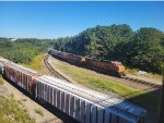 BNSF run thru grain train